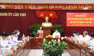 Thành ủy Cần Thơ cần đẩy mạnh đổi mới phương thức lãnh đạo của Đảng