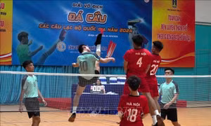 Trên 200 VĐV tranh tài tại Giải vô địch Đá cầu các Câu lạc bộ Quốc gia 2024