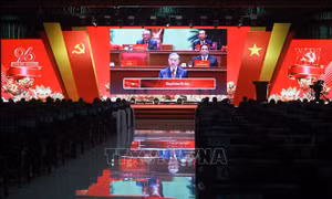 Mỗi người bắt đầu từ những việc nhỏ nhất, cụ thể nhất