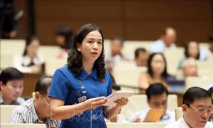 Quốc hội thảo luận về Dự án cao tốc Bắc - Nam phía Tây đoạn Gia Nghĩa - Chơn Thành
