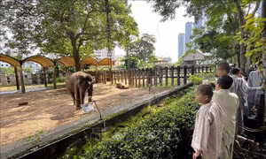 Tìm hướng hỗ trợ, giải quyết khó khăn cho Thảo Cầm Viên Sài Gòn