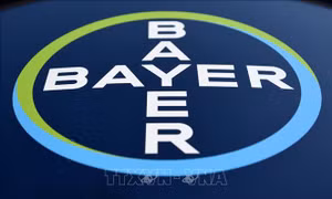 Tòa án Mỹ phạt công ty hóa chất Bayer (Đức) liên quan thuốc diệt cỏ Roundup
