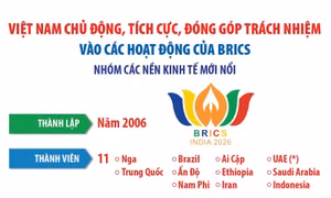 Việt Nam chủ động, tích cực, đóng góp trách nhiệm vào các hoạt động của BRICS