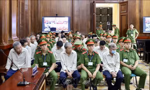 Xét xử vắng mặt cựu Phó Trưởng phòng Tàu sông đang bị truy nã