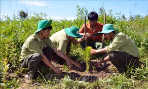 Dựa vào dân vùng đệm để quản lý, bảo vệ rừng