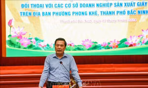 Kiên quyết đóng cửa các cơ sở vi phạm môi trường tại Phong Khê, Bắc Ninh