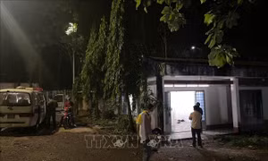 Bình Phước: Điều tra, làm rõ vụ án mạng khiến 1 người chết, 3 người bị thương