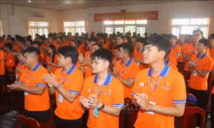 Chuẩn bị nhân lực bằng chuỗi đào tạo phi lợi nhuận quy mô lớn