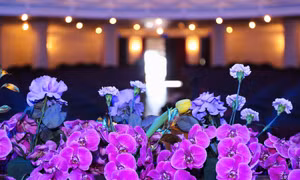  Lễ trao Giải Cống hiến 2023: Hội tụ hàng trăm loài hoa đẹp trong nước và nhiều nơi trên thế giới