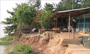 An Giang di dời khẩn cấp nhà dân do sụt lún nghiêm trọng cặp bờ sông Ông Chưởng