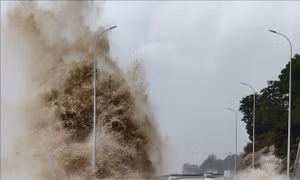 Sự 'biến hình' của những cơn bão