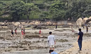 Tăng cường bảo vệ rạn san hô tại Hòn Chồng (Nha Trang)