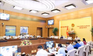 Di sản văn hóa cần được coi là nguồn lực cho phát triển​