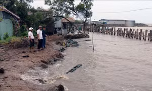 Cấp bách ngăn chặn tình hình sạt lở bờ biển và bồi lấp cửa sông tại các tỉnh miền Trung