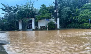 Nguy cơ cao ngập lụt hạ lưu sông Cả, vùng trũng thấp hạ lưu sông Thao