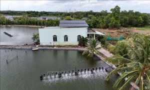 Hướng tới mục tiêu Net Zero - Bài 2: Kinh tế xanh và năng lượng sạch