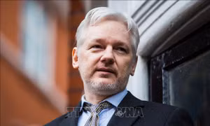 Nhà sáng lập WikiLeaks chính thức nhận tội