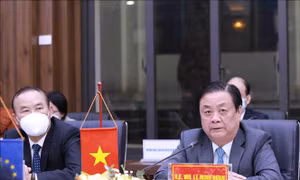 Việt Nam - EU thúc đẩy hợp tác, phát triển thương mại nông, lâm, thủy sản