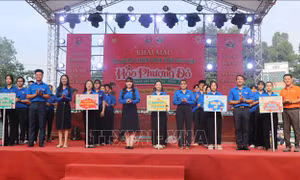 Tuổi trẻ góp phần thúc đẩy chuyển đổi số bằng những việc làm thiết thực