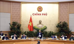 Nghị quyết Phiên họp Chính phủ thường kỳ tháng 1/2020