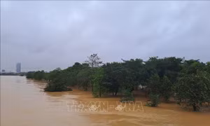 Lũ trên sông Hương xuống rất chậm, trung tâm TP Huế vẫn ngập sâu