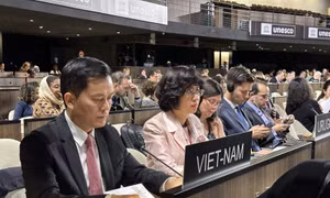 Thúc đẩy hợp tác đa phương và gắn kết với các lĩnh vực hợp tác chuyên môn của UNESCO
