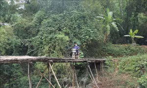Người dân mong mỏi có cây cầu kiên cố bắc qua suối Nậm