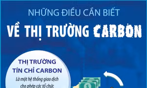 Những điều cần biết về thị trường carbon 