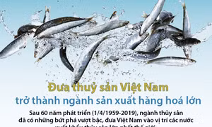 Đưa thuỷ sản Việt Nam trở thành ngành sản xuất hàng hoá lớn