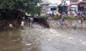 'Hồi sinh' sông Kim Ngưu, Hà Nội - Bài 1: Ý tưởng sông hai đáy