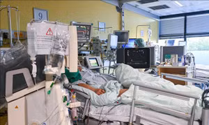 Virus SARS-CoV-2 không lây nhiễm sang các tế bào não ở người mắc COVID-19