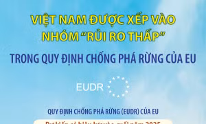 Việt Nam được xếp vào nhóm “rủi ro thấp” trong Quy định chống phá rừng của EU