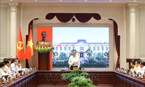 Tổng Bí thư, Chủ tịch nước Tô Lâm: Phát triển, thu hút và trọng dụng nhân tài phải đặt trong tổng thể chiến lược phát triển đất nước