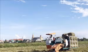 Nhiều lợi ích khi nông dân sử dụng máy thu gom rơm rạ