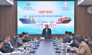 Lần đầu tiên sẽ có lễ hội cá tra ở Đồng Tháp
