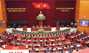 Những nội dung quan trọng tại Hội nghị Trung ương lần thứ 11 khóa XIII
