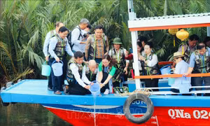Phục hồi đa dạng sinh học để phát triển bền vững
