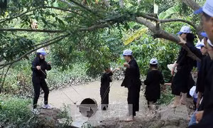 Du lịch nông nghiệp, sinh thái - Bài 1: Phát triển nông nghiệp đô thị gắn với du lịch