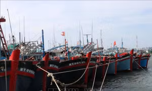 Ngư dân khó vươn khơi bởi thời tiết bất lợi