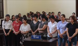 Hoãn xét xử sơ thẩm vụ án các y, bác sỹ lập khống hồ sơ bệnh án