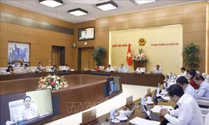 Rà soát chính sách của Nhà nước về bảo tồn, phát triển di sản văn hóa