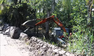 Chủ động ứng phó triều cường, bảo vệ vùng chuyên canh sầu riêng