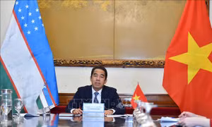 Tham vấn chính trị cấp Thứ trưởng Ngoại giao Việt Nam - Uzbekistan