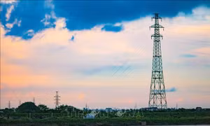 Kỳ tích Đường dây 500kV mạch 3