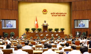 Trình bổ sung dự toán ngân sách nhà nước chi thường xuyên hơn 4.327 tỷ đồng cho năm 2025