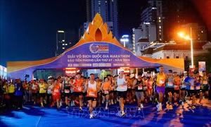 Khép lại mùa giải Marathon quốc gia 2026 với nhiều thành tích tại Khánh Hòa