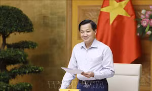 Nghiên cứu phương án giảm các loại thuế để hỗ trợ người dân, doanh nghiệp