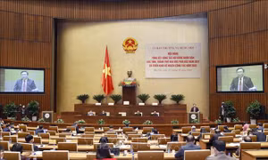 Nâng cao năng lực, hiệu quả hoạt động của Hội đồng nhân dân