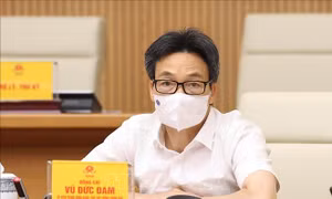 Phó Thủ tướng Vũ Đức Đam: Ngành Du lịch khẩn trương khôi phục lại hoạt động an toàn, chắc chắn