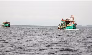 Kế hoạch thực hiện Hiệp định biện pháp ngăn chặn khai thác thủy sản bất hợp pháp